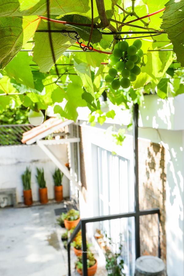Hostel Grape Wine サンパウロ エクステリア 写真