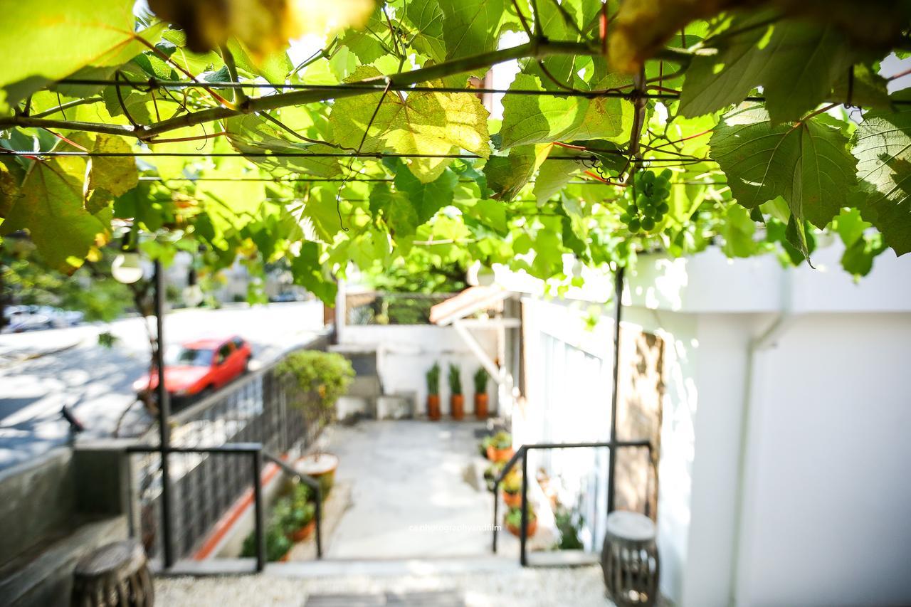 Hostel Grape Wine サンパウロ エクステリア 写真