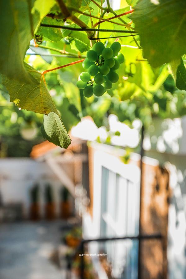 Hostel Grape Wine サンパウロ エクステリア 写真